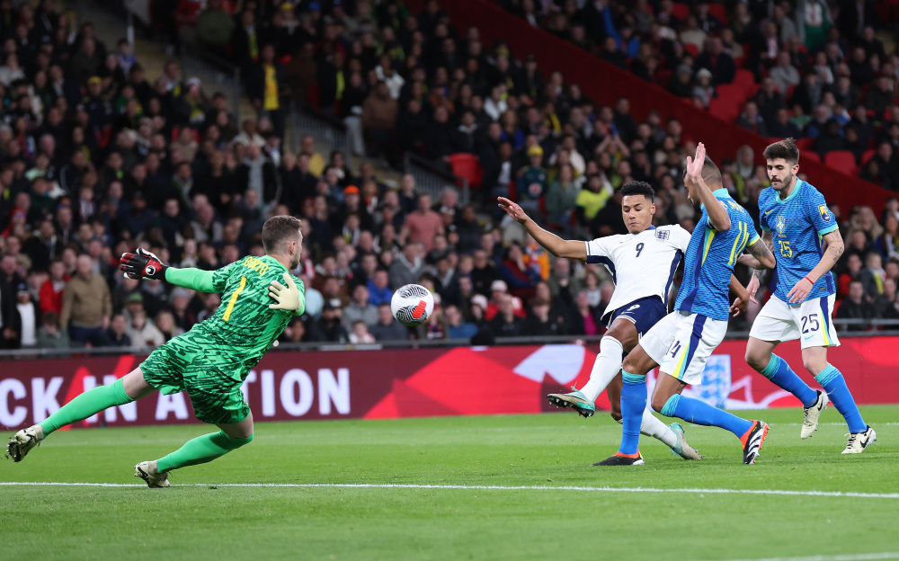 仅反映出费 仅反映出费